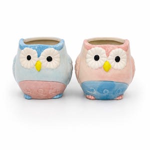 Ceramic Owl Succulent Planter | Cute Owl Flower Pot | 4.5” Ceramic Cactus Planter | Indoor Plant Pot | Owl Lover Gift | Desk & Home Décor