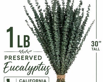 1 LB Preserved Eucalyptus Bundle 30” Tall | California Grown Dried Eucalyptus | Wedding Greenery | Vase Filler | Home Decor