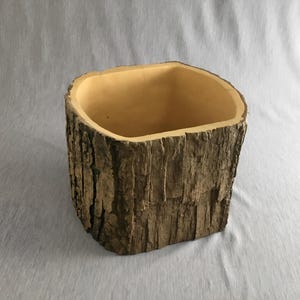 Unique Oak Tree Trunk Vase 7-4/5"x6-4/5"x6-1/5" Wood Pottery with Drainage 068