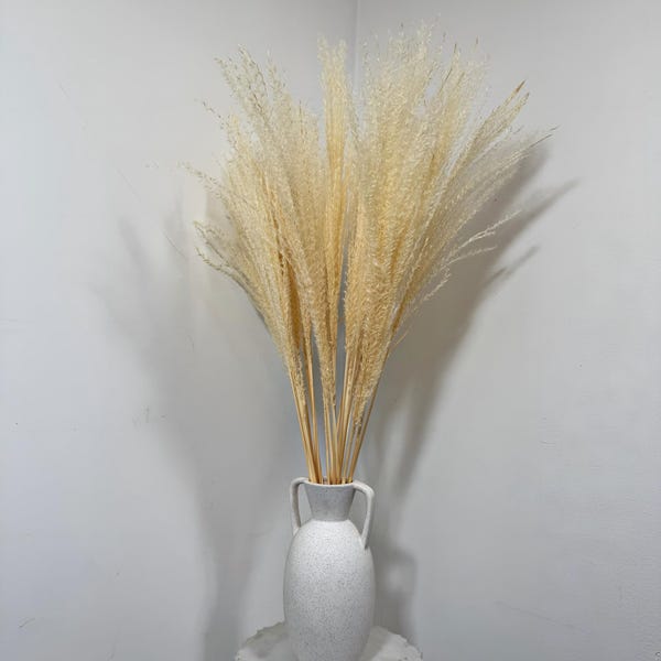 Dried Reeds - Etsy