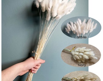 Dried Bunny Tail Grass: Natural Lagurus Ovatus, Wedding Home Decor (25"H)