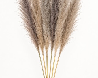 Jumbo Dried Pampas Grass, 48” Tall Natural Reeds, 6 or 12 Stems for Floor Vases, Boho Home & Wedding Decor