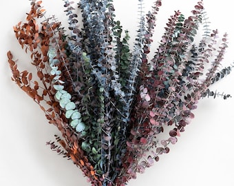 Fragrant Dried Eucalyptus Assorted Bouquet 1 LB - California Grown - 30"