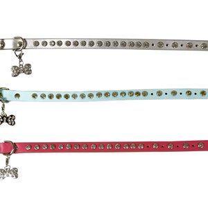 Diamond Studded Dog Collar with Studded Bone Shaped Pendant
