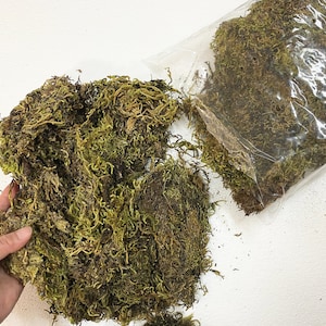 9 oz Preserved Natural Moss Floral Decor Plant Cover Professional Florist Decorations For Indoor and Outdoor Floral Decor