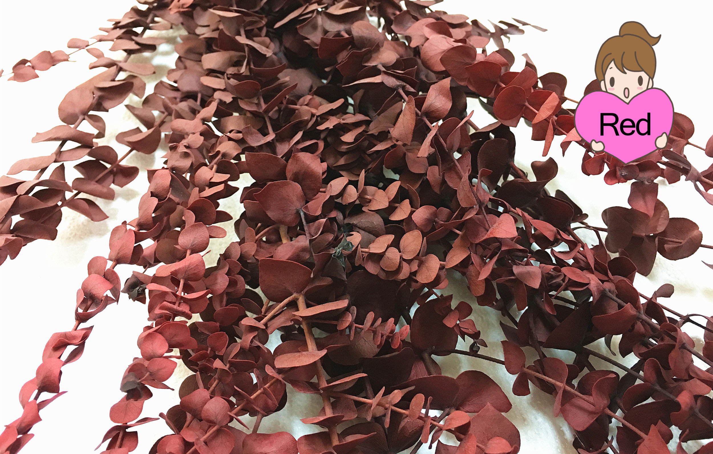 Dried Natural Preserved Eucalyptus 1 LB Bulk Polished Green Etsy