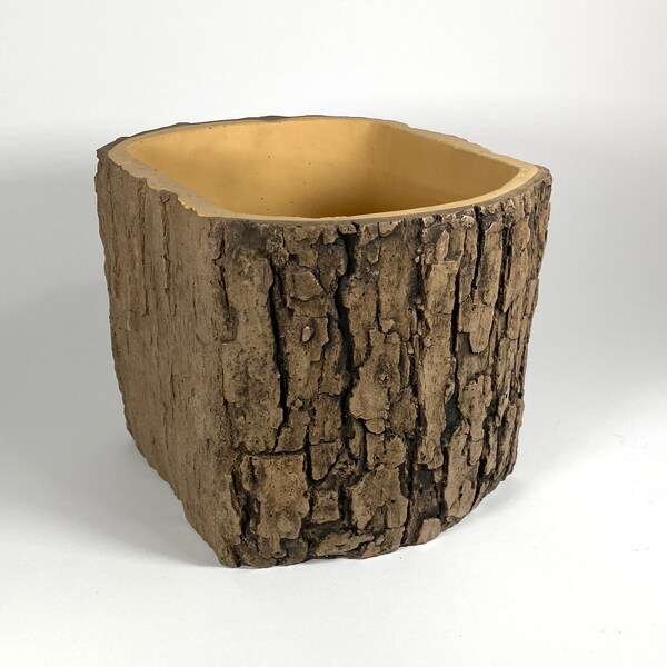 Unique Oak Tree Trunk Vase 8"x7"x6.5" with Flat Sides Wood Pottery with Drainage