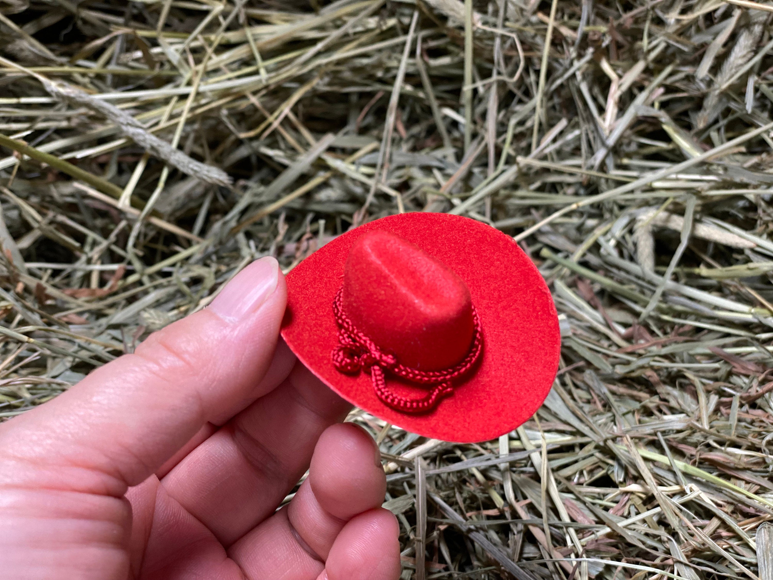 Mini straw sales cowboy hats