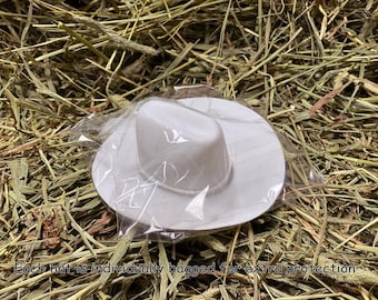 BESTonZON Lot De 10 Chapeaux De Cowboy Miniatures Pour Poupées – Décorations De Fête, Accessoires Artisanaux, Maison De Poupée