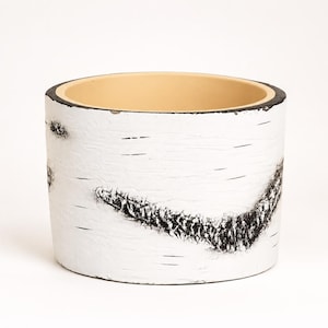 May include: A cylindrical planter featuring a white exterior with a textured black pattern mimicking the appearance of birch tree bark. The interior of the vessel is a smooth, light beige color, and the top rim is finished with a thin black border.