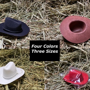 Single 2 3 4 Mini Cowboy Hat Red White Brown Black image 1