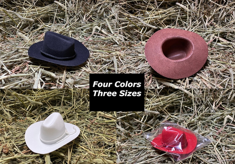 Single 2 3 4 Mini Cowboy Hat Red White Brown Black image 1