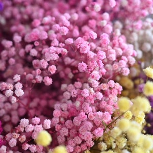 27"H natuurlijke gedroogde baby's adem (gedroogde gipskruid) in natuurlijk en kleur voor corsage corsage bruiloft rustiek boeket