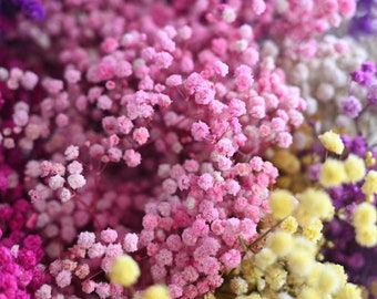 27"H Natural Dried Baby's Breath (Dried Gypsophila ) in Natural and Color for Boutonnière Corsage Wedding Rustic Bouquet