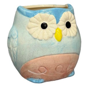 Ceramic Owl Succulent Planter Set: Flowing Glaze, No Drainage