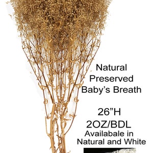 Calcastle Craft Dried Babys Breath (Dried Gypsophila) Natural Brown Color