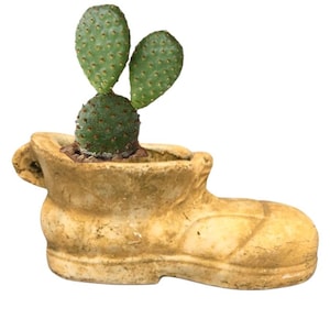 Rustic Boot Planter, Distressed Decorative Pot for Succulents