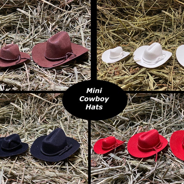 12 pc 2" 3" 4" Mini Cowboy Hats Red Brown Black White for Dolls or Pet Costumes