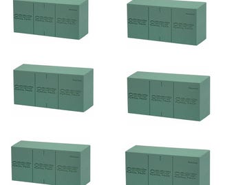 6/8/48 Conteggio Oasis Advantage Plus Schiuma Floreale Fresca