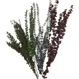 30&quot;H Calfornia Grown Fragrant Dried Natural Preserved Eucalyptus - 8oz Preserved Natural Eucalyptus Assorted Bouquet