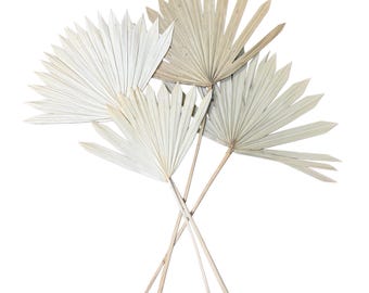 Dried Palm Leaf Decor, Boho Wedding Bouquet Supply (8pc)