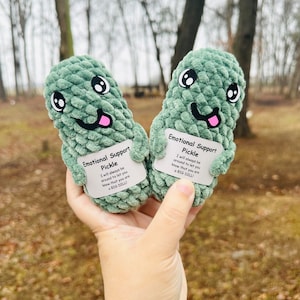READY TO SHIP - Emotional Support Pickle
