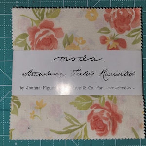 OOP Strawberrry Fields Revisited Charm Pack by Joanna Figueroa of Fig Tree & Co for Moda - see listing for details (#121)