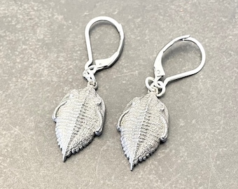 May include: A pair of silver earrings featuring a detailed trilobite fossil design. The earrings have a simple hook closure.