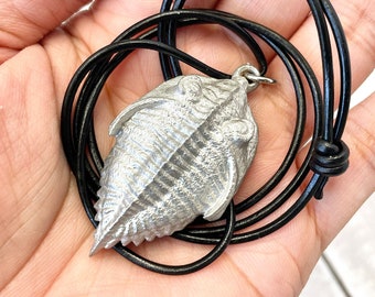 May include: A silver trilobite pendant on a black leather cord necklace. The trilobite is a detailed replica of a prehistoric marine arthropod.
