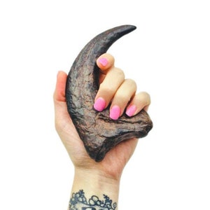 Velociraptor Claw, Raptor Claw Fossil Replica, Utah Raptor, Dinosaur Collectibles, Fossil replica, Talon, Halloween Prop,