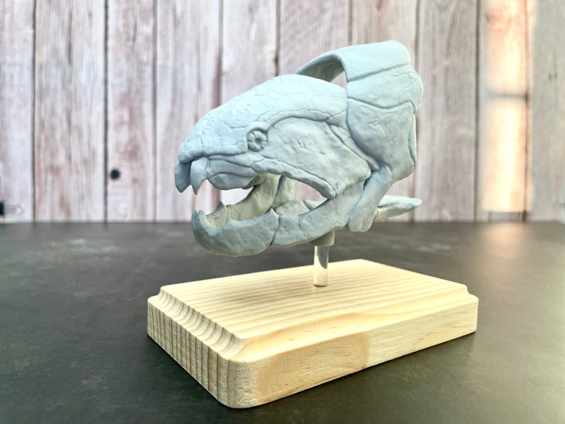 Dunkleosteus Fossil Replica 1/12 Scale 5, Fossil Fish, Devonian Placoderm Fossil, Dinosaur Fossil Replica, Fossil Replica Unpainted Kit