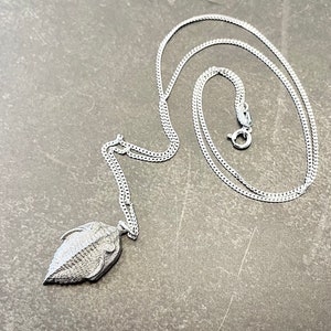 Trilobite Charm Necklace, 925 Sterling Silver Necklace, Trilobite Pendant, Dinosaur Necklace, Fossil necklace