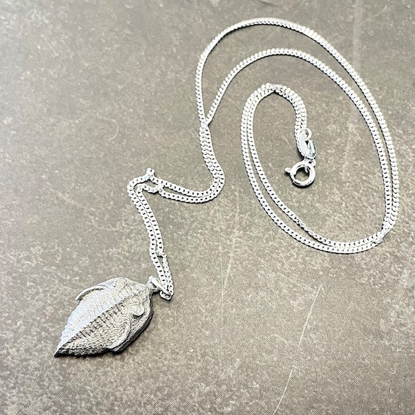 Trilobite Charm Necklace, 925 Sterling Silver Necklace, Trilobite Pendant, Dinosaur Necklace, Fossil necklace