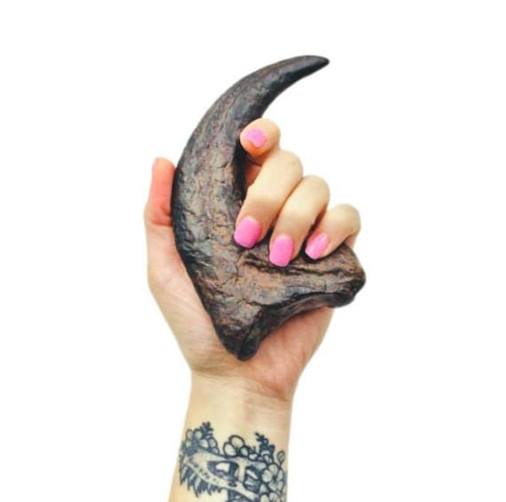 Velociraptor Claw Raptor Claw Fossil Replica Utah Raptor Dinosaur Collectibles Fossil Replica Talon Halloween Prop Etsy