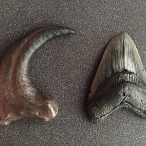 Megalodon Shark Tooth Fossil Replica, Fish Fossil replica, Shark Week Collectibles, Fossil Shark Teeth, Husband Gift, Boyfriend gift image 5