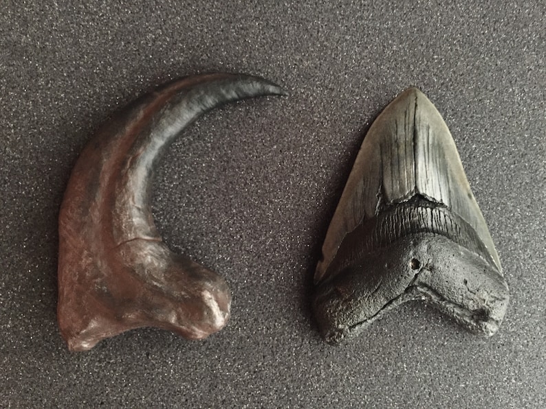 Megalodon Shark Tooth Fossil Replica, Fish Fossil replica, Shark Week Collectibles, Fossil Shark Teeth, Husband Gift, Boyfriend gift image 5