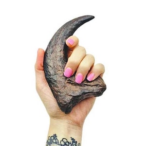 Velociraptor Claw, Raptor Claw Fossil Replica, Utah Raptor, Dinosaur Collectibles, Fossil replica, Talon, Halloween Prop,