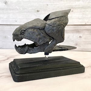 Dunkleosteus Fossil Replica 1/12 Scale 5, Fossil Fish, Devonian Placoderm Fossil, Dinosaur Fossil Replica, Fossil Replica Painted/ Black Base