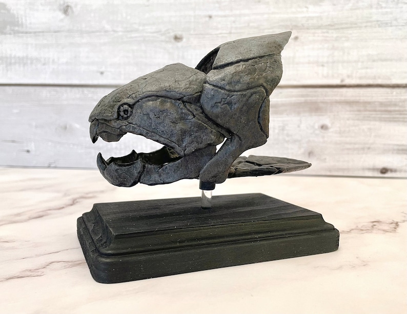 Dunkleosteus Fossil Replica 1/12 Scale 5, Fossil Fish, Devonian Placoderm Fossil, Dinosaur Fossil Replica, Fossil Replica Painted/ Black Base