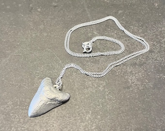 May include: A silver chain necklace with a silver tooth pendant.