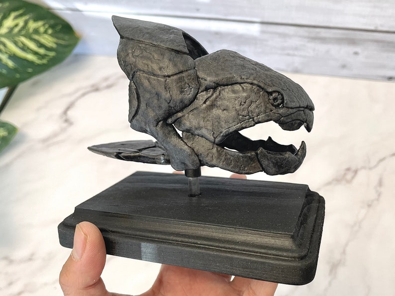 Dunkleosteus Fossil Replica 1/12 Scale 5, Fossil Fish, Devonian Placoderm Fossil, Dinosaur Fossil Replica, Fossil Replica image 7