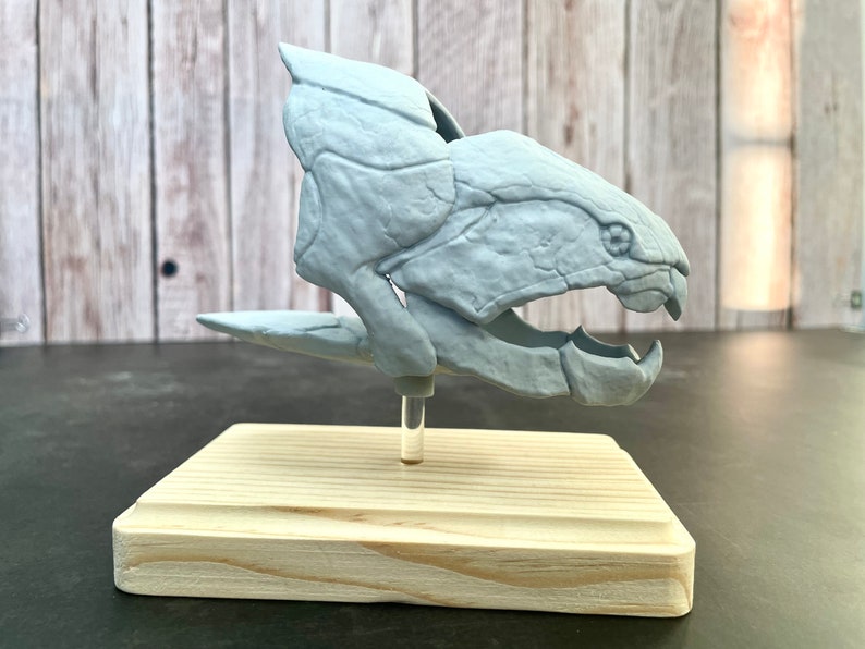 Dunkleosteus Fossil Replica 1/12 Scale 5, Fossil Fish, Devonian Placoderm Fossil, Dinosaur Fossil Replica, Fossil Replica image 8