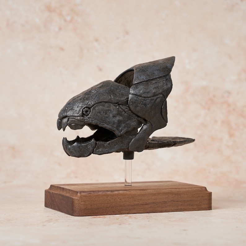 Dunkleosteus Fossil Replica 1/12 Scale 5, Fossil Fish, Devonian Placoderm Fossil, Dinosaur Fossil Replica, Fossil Replica Painted/ Real Walnut