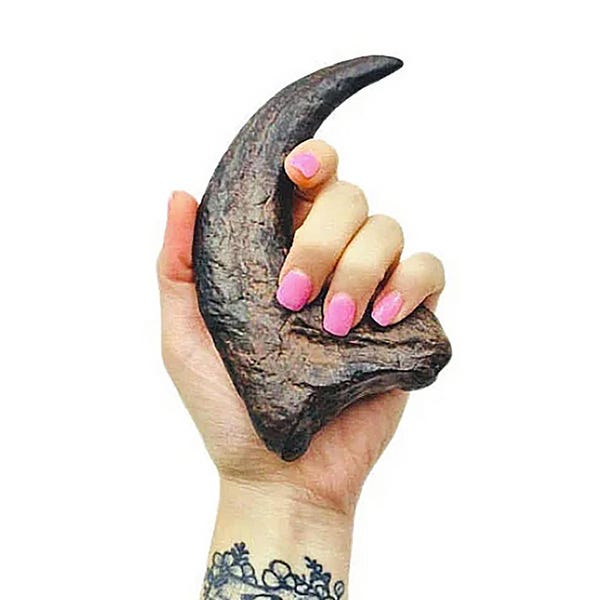 May include: A dark brown, curved claw, possibly a replica or a fossil, held in a hand with pink nail polish. The claw has a rough, textured surface and a pointed tip, suggesting a prehistoric animal.
