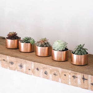 Copper Pot for Plants / Ring Pot / Trinket Pot image 1