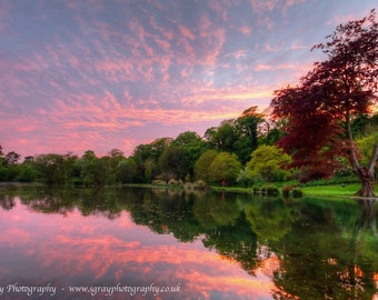 Orange reflections