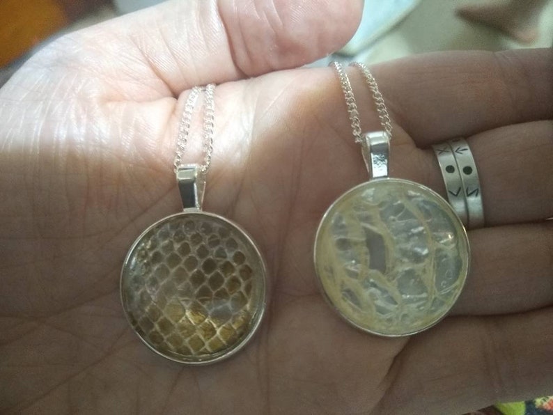 Snake skin shed necklace Etsy