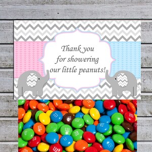 Treat Bag Topper Candy Bag for Twins Baby Shower Decorations Favor Bags Toppers Little Peanuts Instant Download (01)