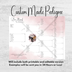Pedigree di coniglio personalizzato, Pedigree di coniglio personalizzato, Coniglio, Modello pedigree, Pedigree modificabile, Allevamento di conigli, Coniglio di razza