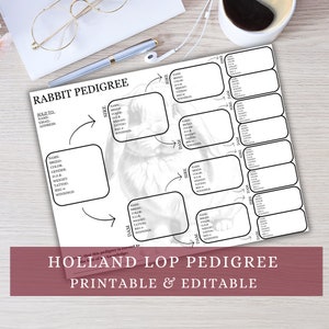 Pedigree Holland Lop, pedigree modifiable, pedigree imprimable, modèle de pedigree lapin, pedigree lapin, pedigree lapin, modèle de pedigree